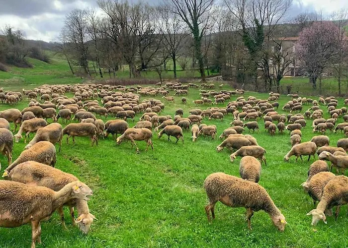 בית נופש Chez Camille Aux Sieges Les Rives